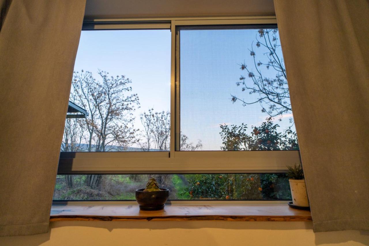צימרים בצפון - עץ נוי She'ar Yashuv Exterior photo